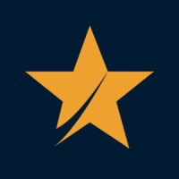 Public Affairs Experts Logo