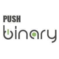 PushBinary - Mobile App Development | Website Development Logo