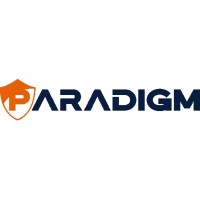 Paradigm IT Network - USA Logo