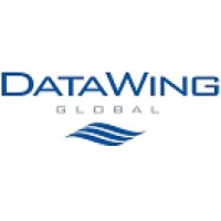 DataWing Global Logo