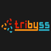 Tribyss App Solutions Private Limited Logo