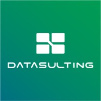 Datasulting Logo