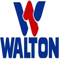 Walton Micro-Tech Corporation Ltd. Logo