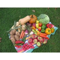 Culinary Delights Farm Logo