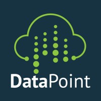 DataPoint, LLC Logo