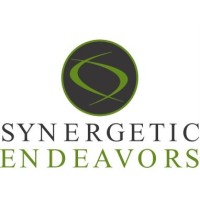 Synergetic Endeavors Logo