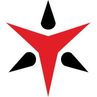 TrapWire Inc. Logo