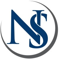 Neponset Strategies, LLP Logo