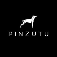 Pinzutu Films Logo