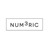 Numeric Recruitment Logo