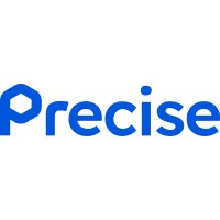 Precise Logo