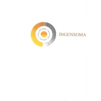 Ingensoma Trading Group Ltd Logo