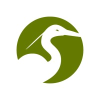 NEW SOUTH Logo