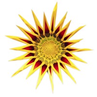 Title Junction, LLC Logo