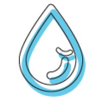 Hyperfluid Solutions Logo