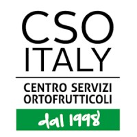 CSO ITALY - Centro Servizi Ortofrutticoli Logo