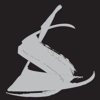 LEGAL SKILLS Rechtsanwälte und Notar Logo