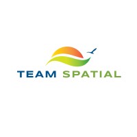 Team Spatial Logo