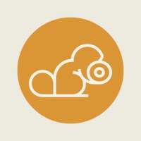 SOAJS Logo