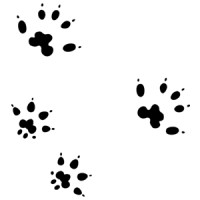 Inky Mouse Studios Logo