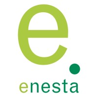 Enesta Logo