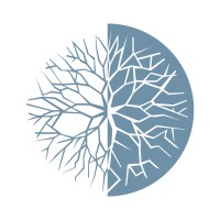 CNS | Campus Neurológico Logo