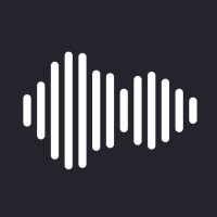 Soundscape Agency Logo