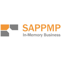In-Memory Business & IT Services Ltd. Logo
