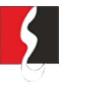 SPACE_SOLUTIONS Logo