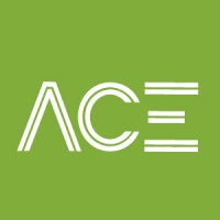 ACE Audit Consulting Enterprise Logo