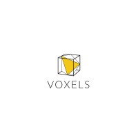 Voxels Logo