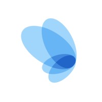 MetaMorphoSys Technologies Logo