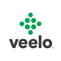 Veelo - A Bigtincan™ Company Logo