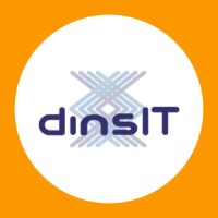DinsIT.mx Logo