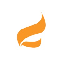 Flare Consulting Group Logo