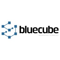 Bluecube srl Logo