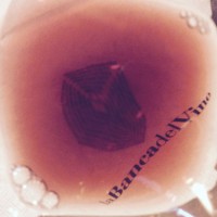 La Banca del Vino di Pollenzo Logo