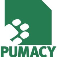 Pumacy Technologies AG Logo