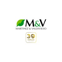 Martinez y Valdivieso Logo