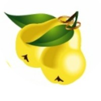 Nutrition Pair, LLC Logo
