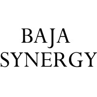 Baja Synergy Logo