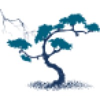 Burning Pine Ltd Logo