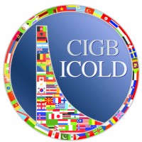International Commission on Large Dams (ICOLD) Logo