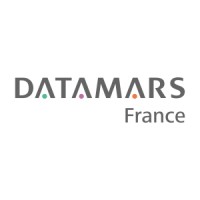 DATAMARS France Logo