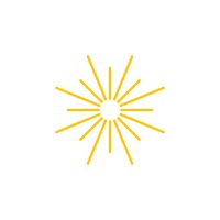 Flint Systems Logo