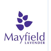 Mayfield Lavender Logo