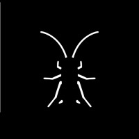 ROACH. Logo