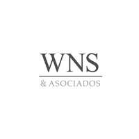 WNS & Asociados Logo