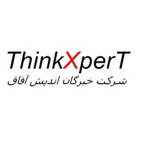 ThinkXpert.co Logo