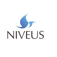 Niveus Consulting Group Logo